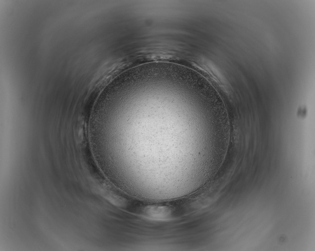 X0000090960169200708161823