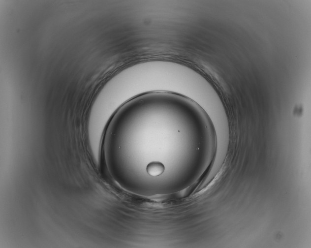X0000090960170200708161823