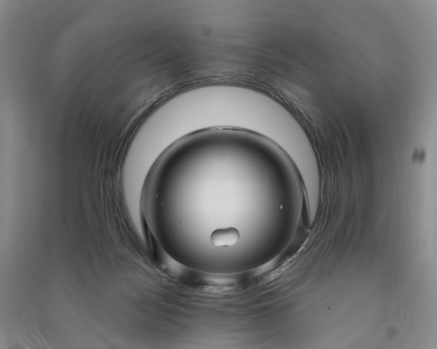 X0000090960172200708161823