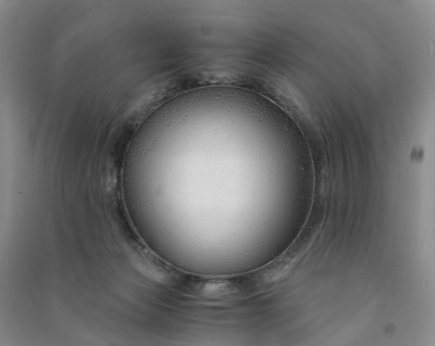 X0000090960173200708161823