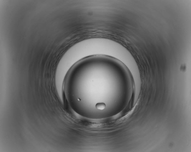 X0000090960178200708161823