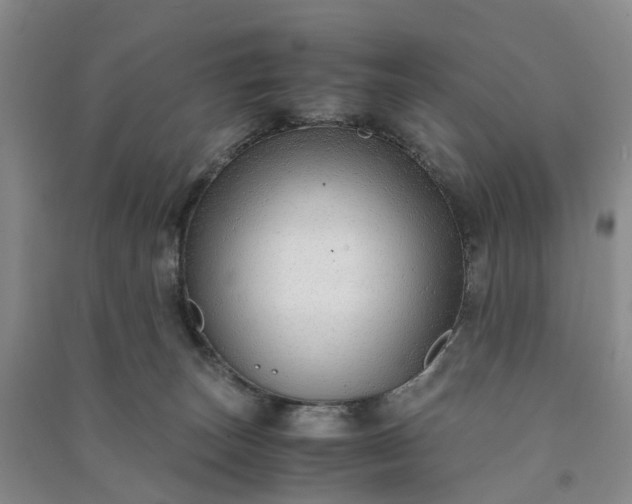 X0000090960179200708161823