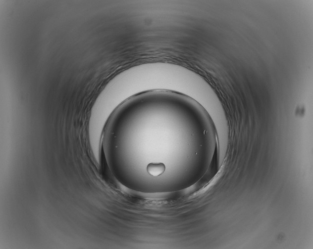X0000090960182200708161823