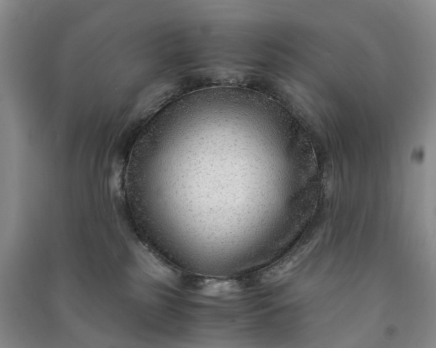 X0000090960185200708161823