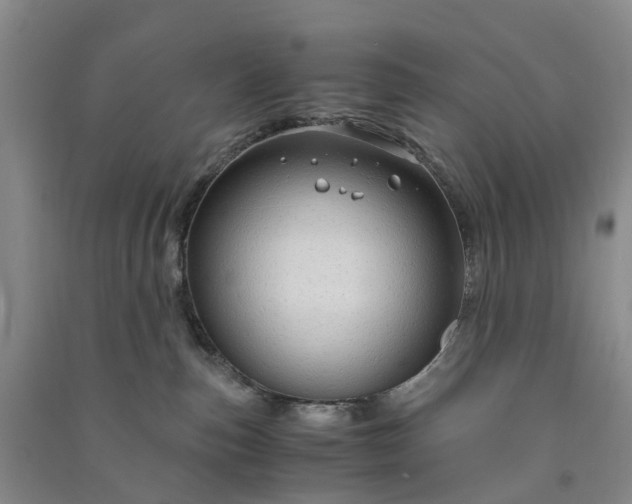 X0000090960187200708161823