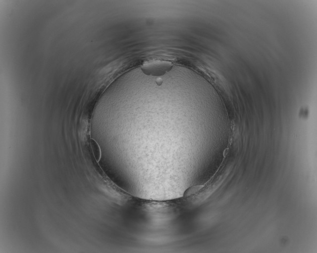 X0000090960189200708161823