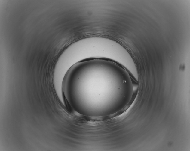 X0000090960190200708161823