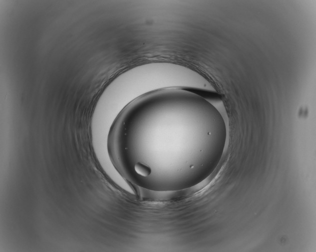 X0000090960192200708161823