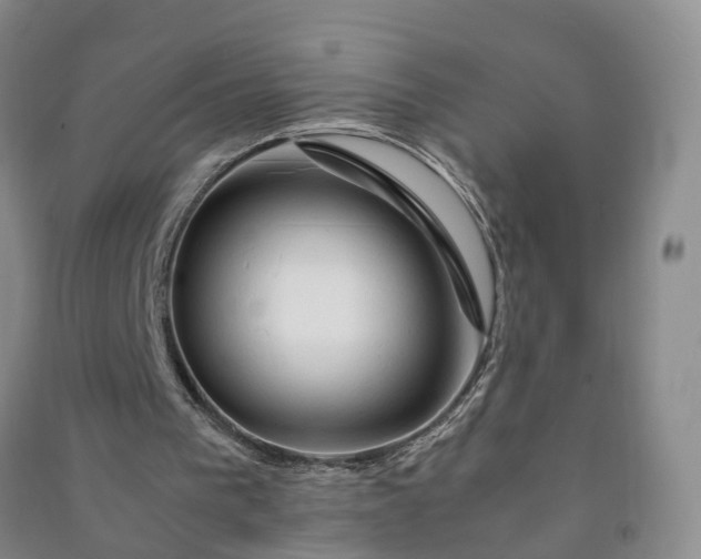 X0000090960193200708161822