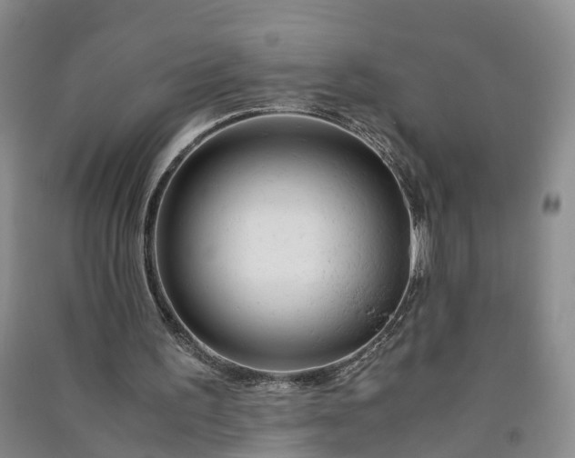 X0000090960195200708161822
