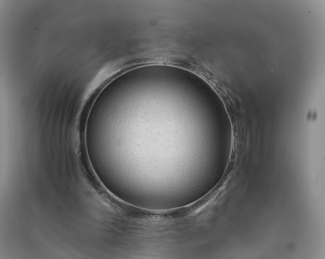 X0000090960198200708161822