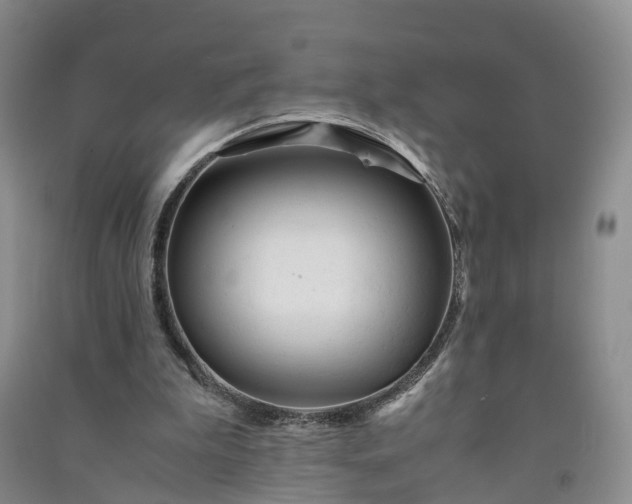 X0000090960199200708161822