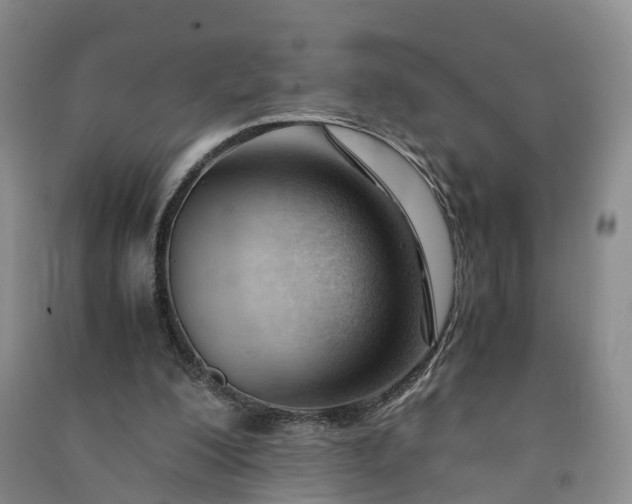 X0000090960200200708161822