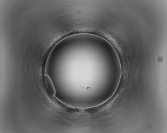 X0000090960201200708161822