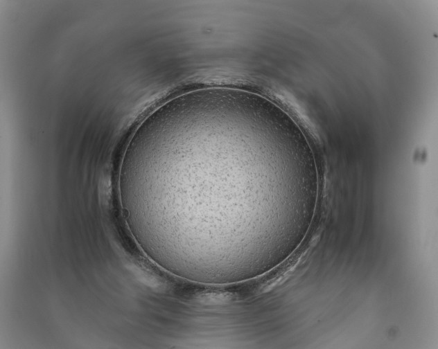 X0000090960202200708161822