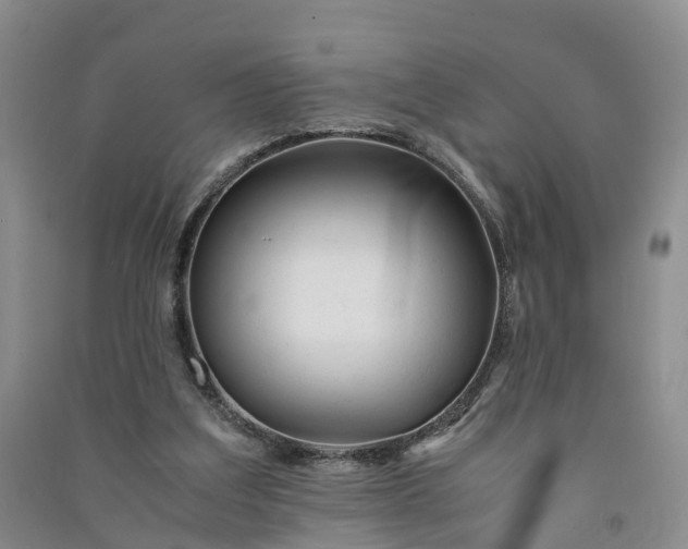 X0000090960203200708161822