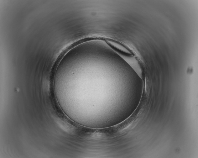 X0000090960204200708161822