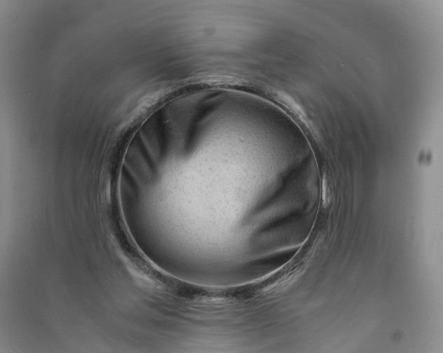 X0000090960205200708161822