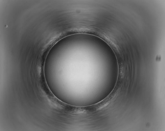X0000090960206200708161822