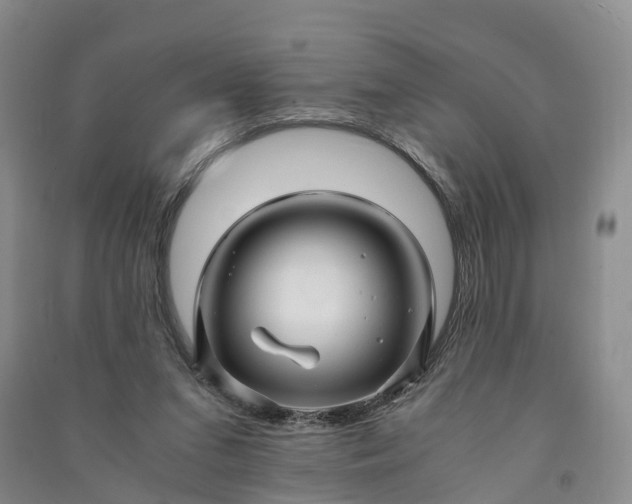 X0000090960207200708161822