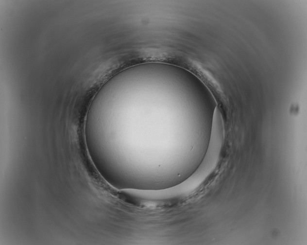X0000090960209200708161822