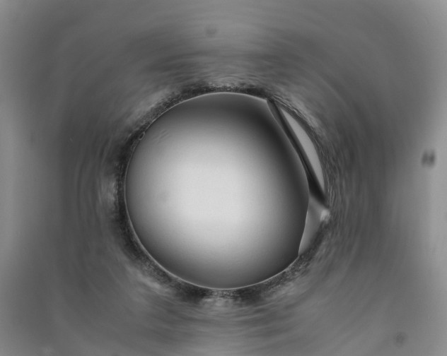 X0000090960211200708161822