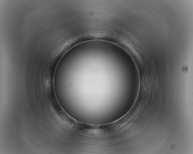X0000090960212200708161822