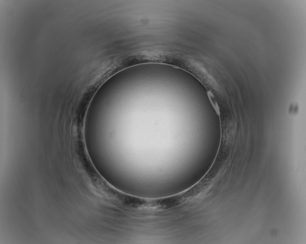 X0000090960213200708161822