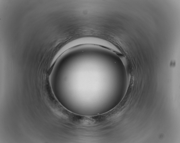 X0000090960215200708161822