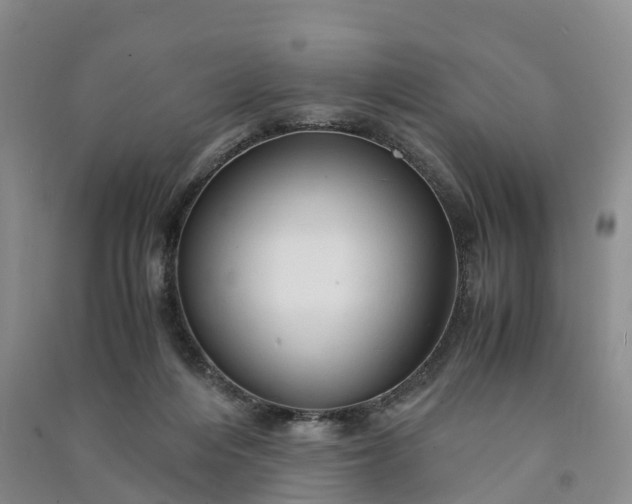 X0000090960216200708161822