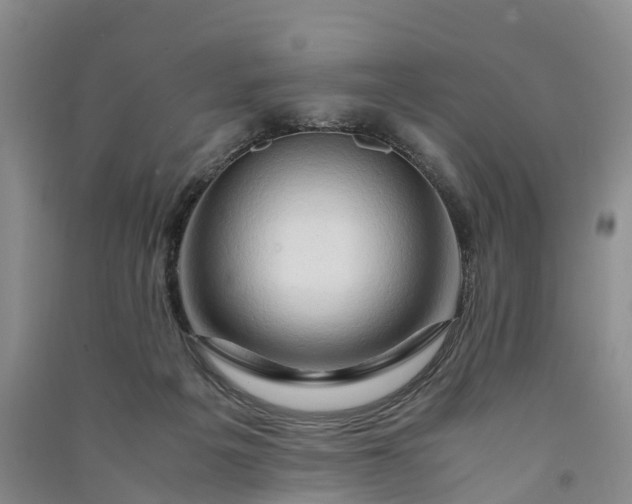 X0000090960217200708161822