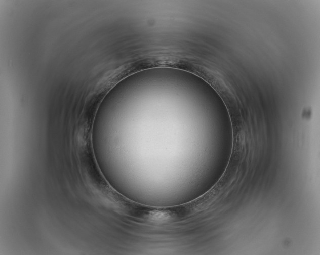 X0000090960218200708161822