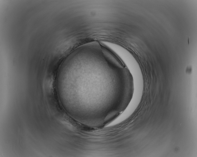 X0000090960219200708161822