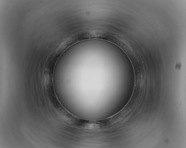 X0000090960220200708161822