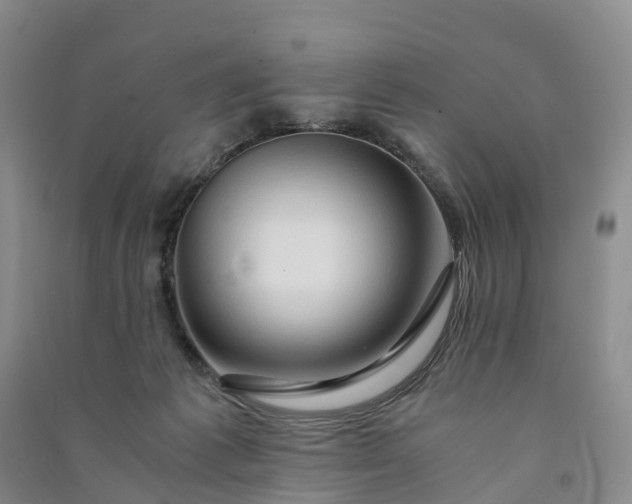 X0000090960221200708161822