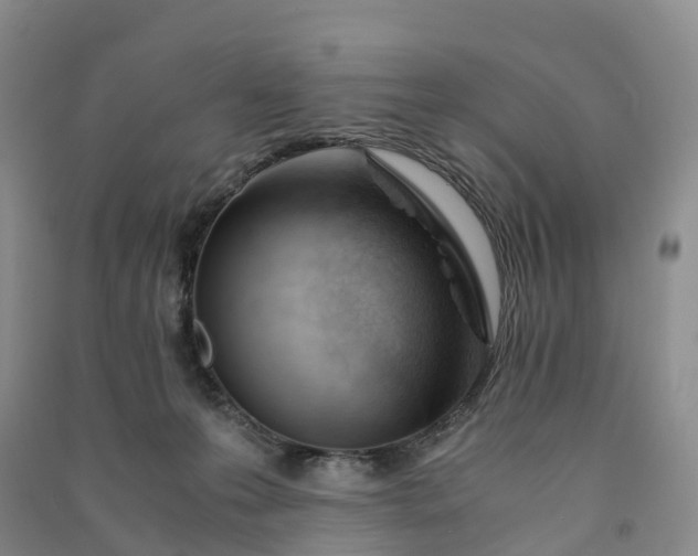 X0000090960223200708161822