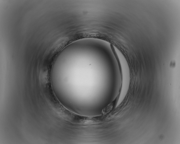 X0000090960224200708161822