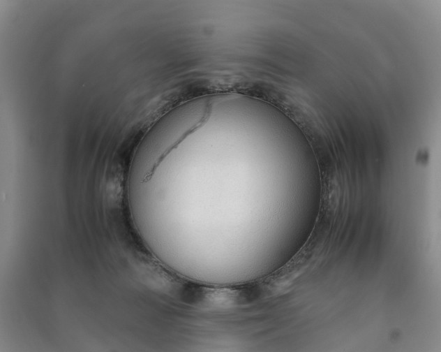 X0000090960226200708161822
