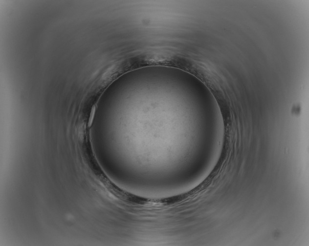 X0000090960227200708161822