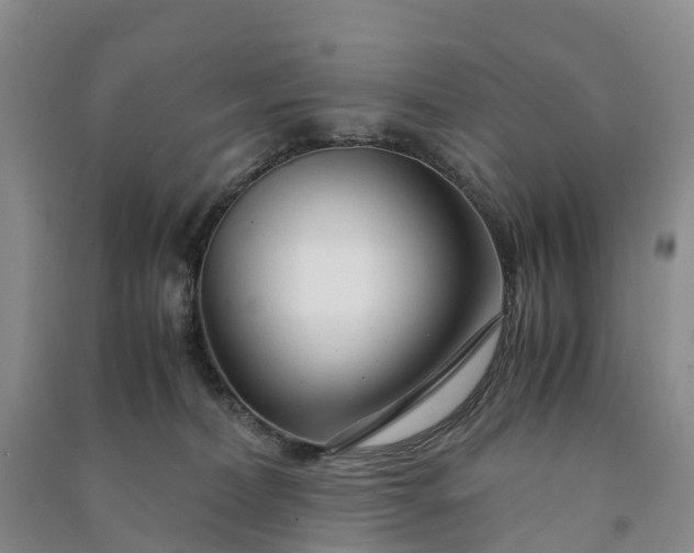 X0000090960228200708161822
