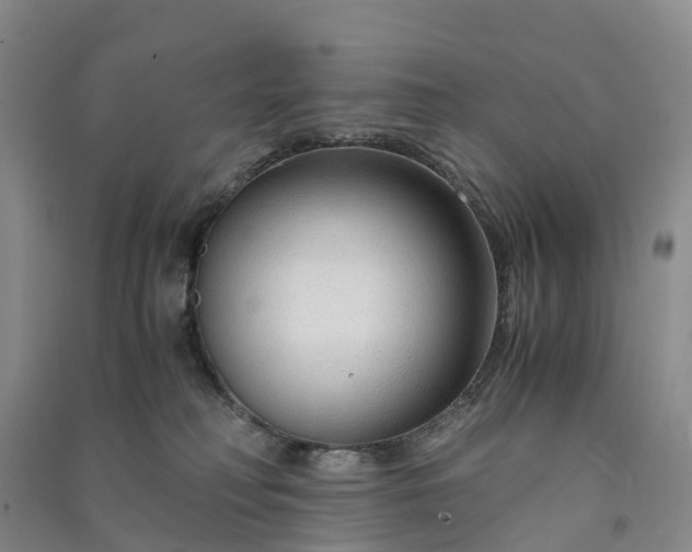 X0000090960230200708161822