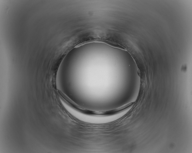 X0000090960233200708161822