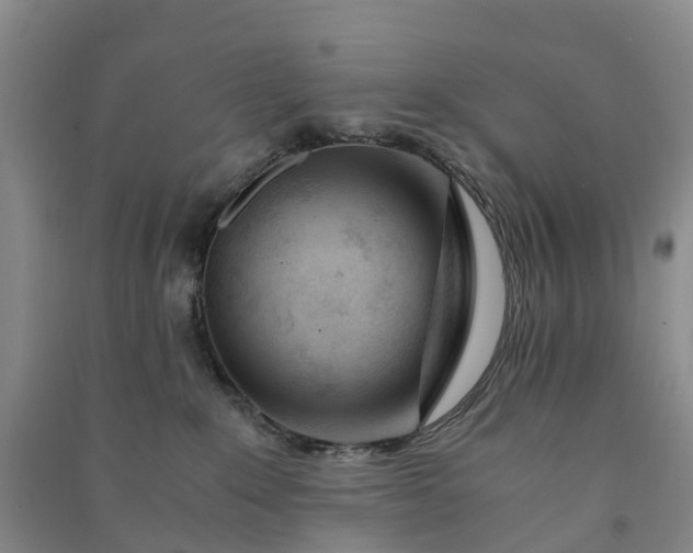 X0000090960235200708161822