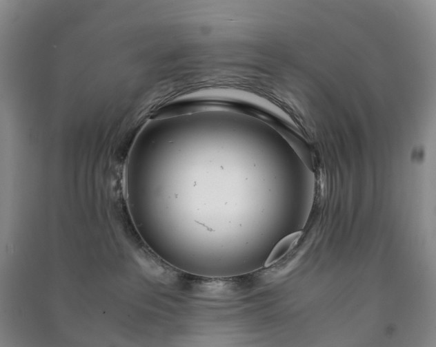 X0000090960237200708161822