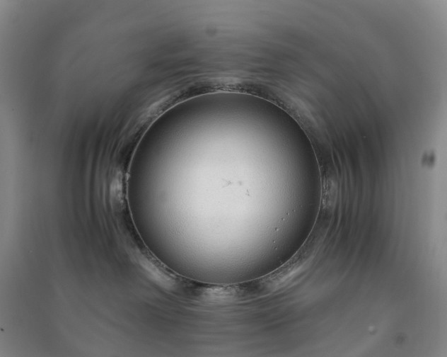 X0000090960238200708161822