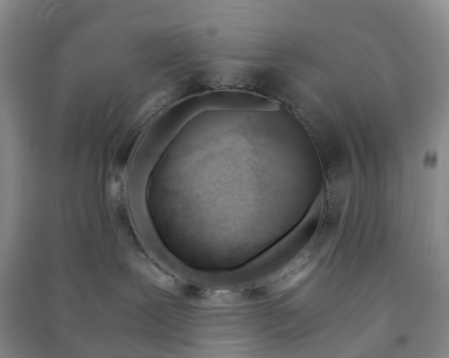 X0000090960239200708161822