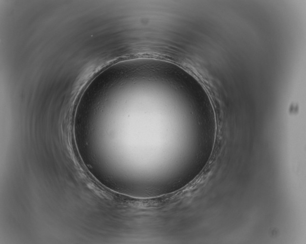 X0000090960241200708161821