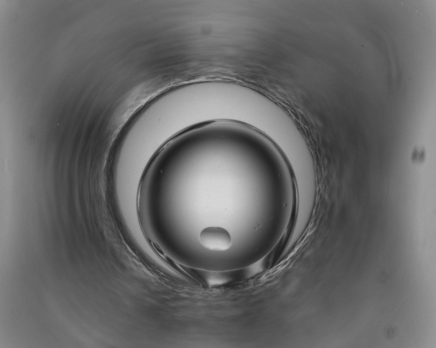 X0000090960242200708161821