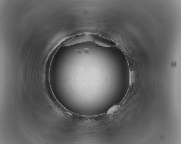 X0000090960243200708161821