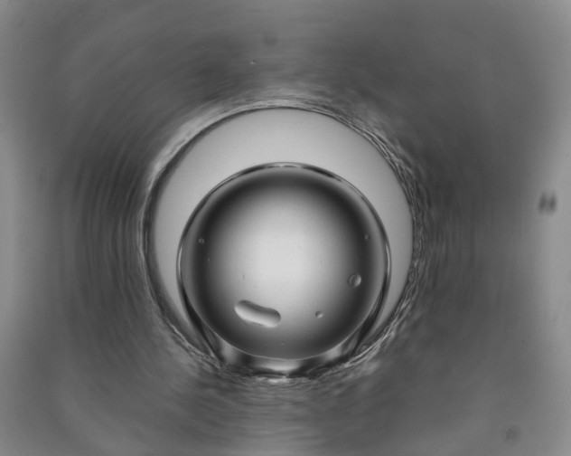 X0000090960244200708161821